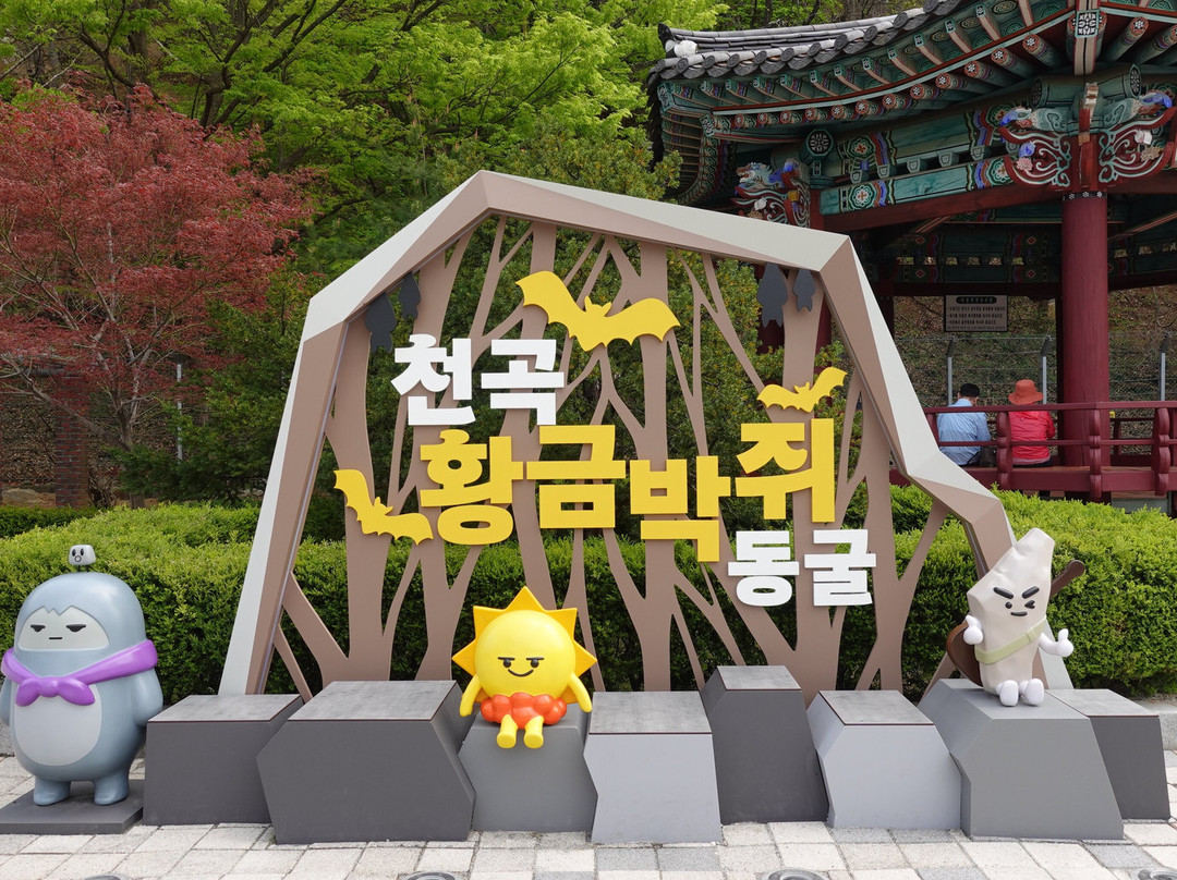 Cheongok Golden Bat Cave-东海市必去景点