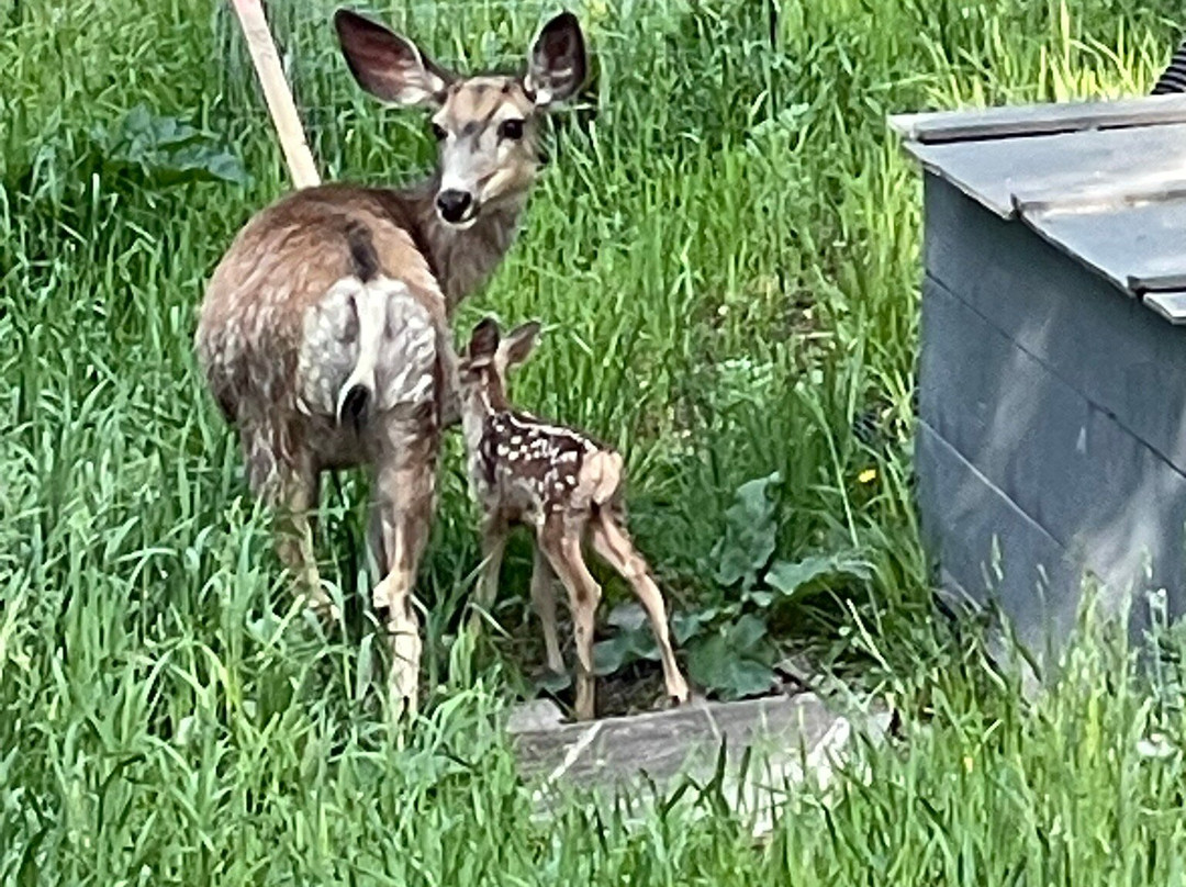 Waterton Lake National Park-沃特顿湖国家公园必去景点