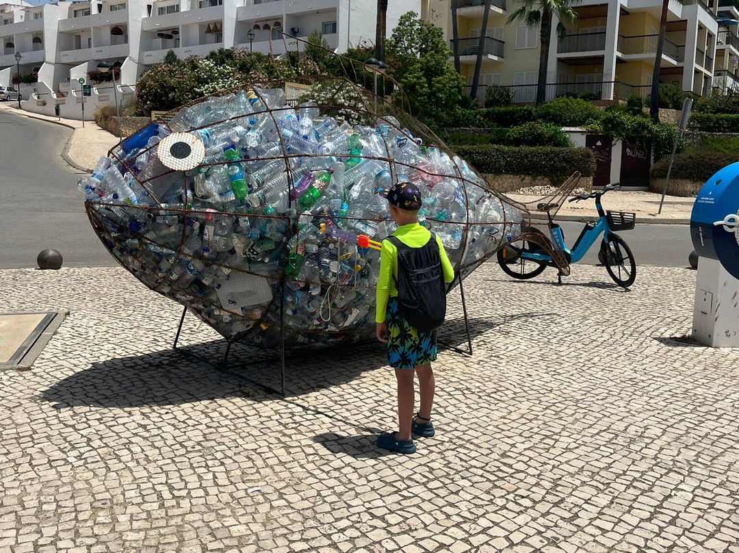Alvor Boardwalk景点图片