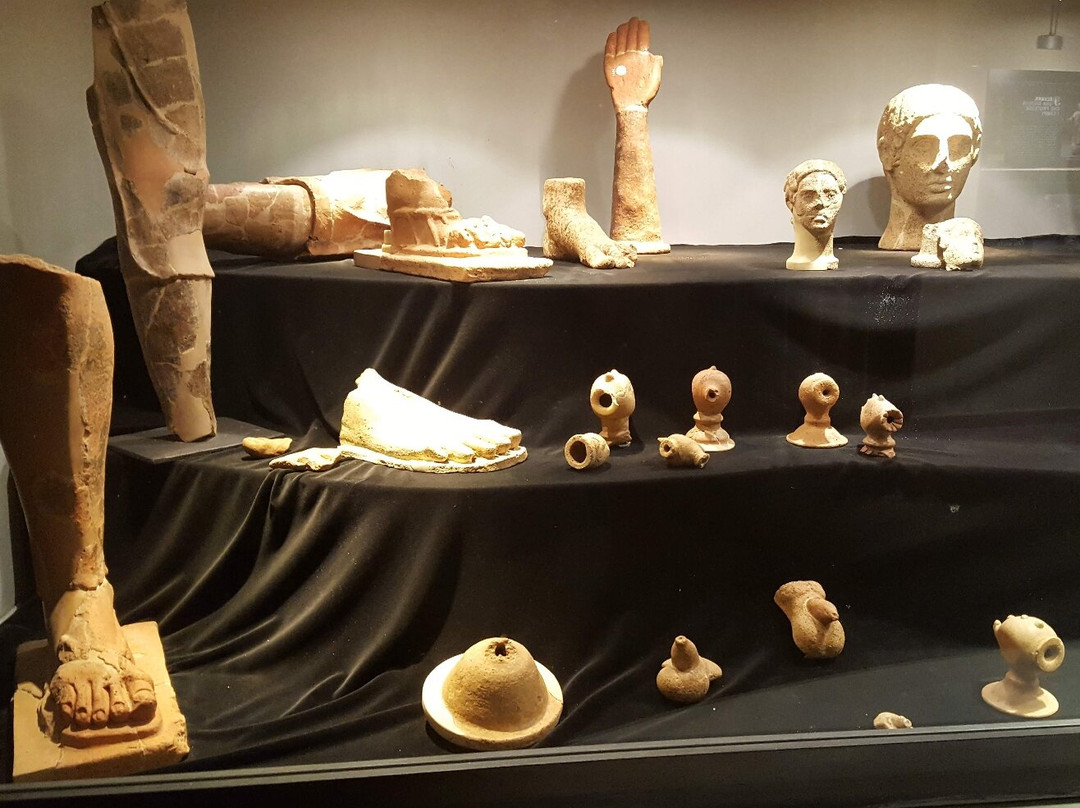 Museo Archeologico e della Vite e del Vino-Scansano必去景点