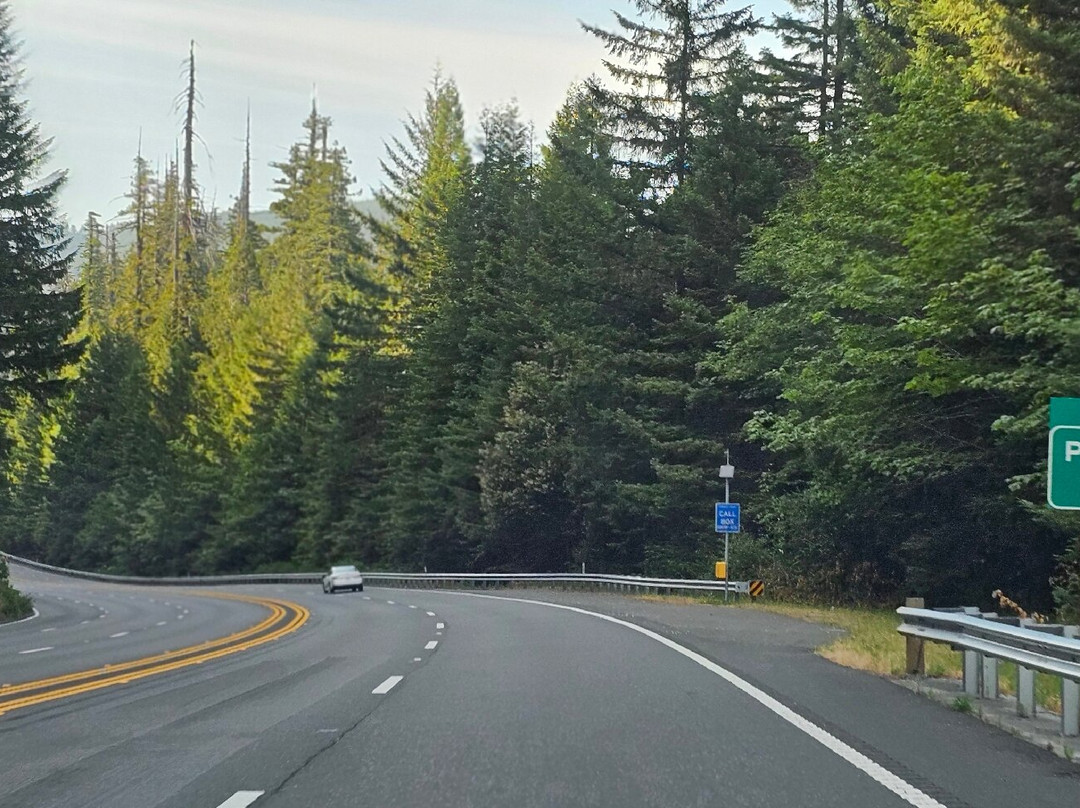 Tall Trees Grove-红木国家公园必去景点