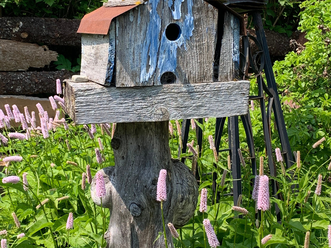 The Historic Boardwalk-Seldovia必去景点