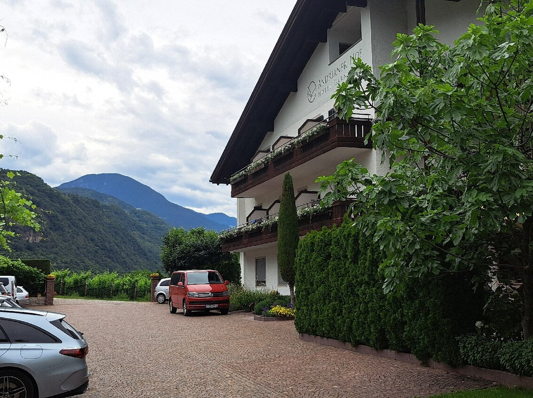 Hotel Garni Andrianerhof主图