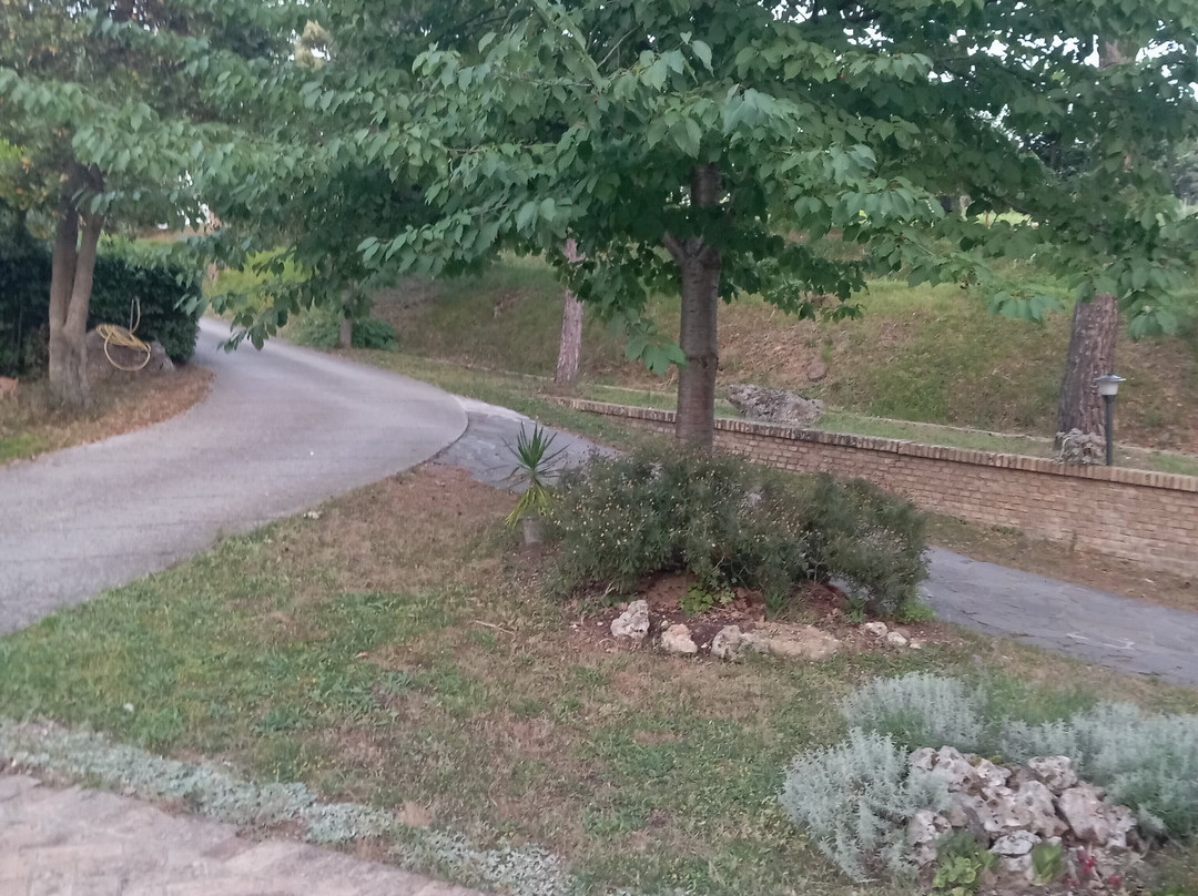 B&B La Collina Dorata主图