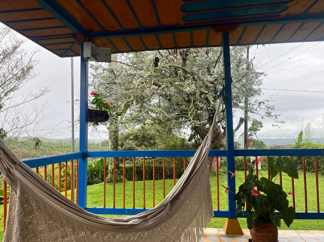 Hotel Bosques Del Samán - Alcalá主图