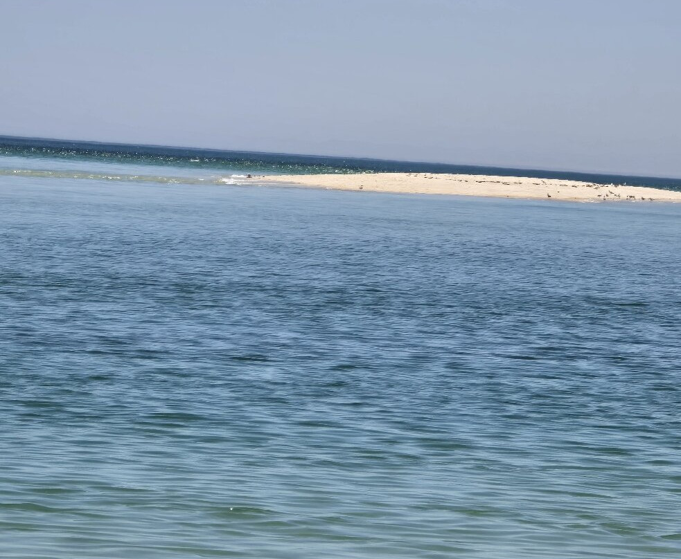Figueirinha Beach-Portinho da Arrabida必去景点