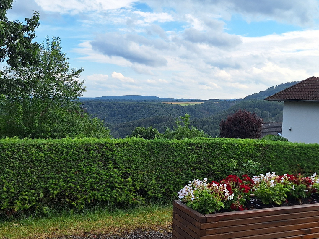 Motorhotel Am Vulkanberg主图