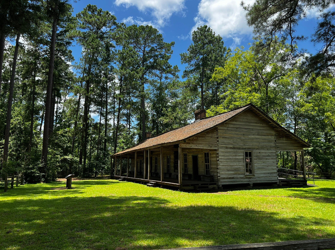 Mission Tejas State Park-Grapeland必去景点