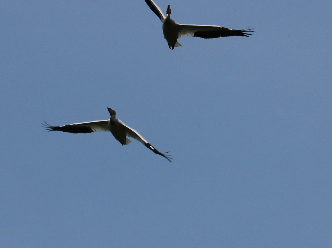Barkhausen Waterfowl Preserve-Suamico必去景点