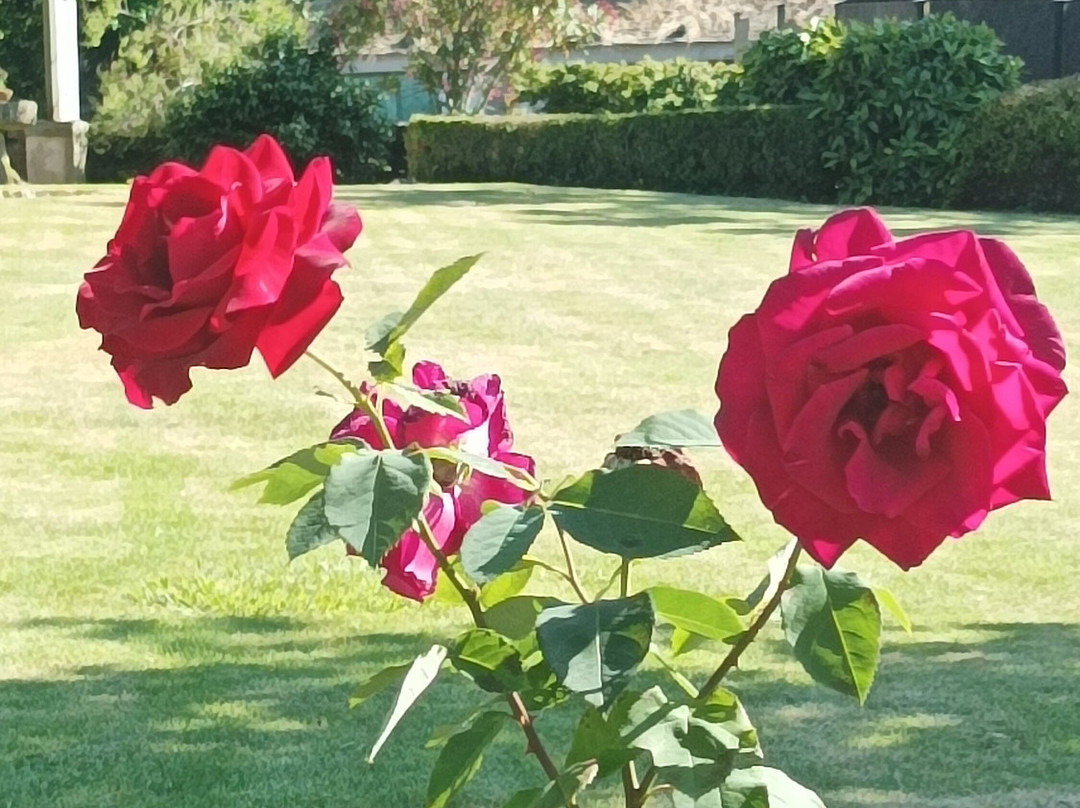 Hotel Rustico Casa Franco主图