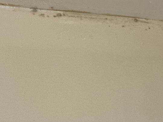 Super 8 by Wyndham Canandaigua主图