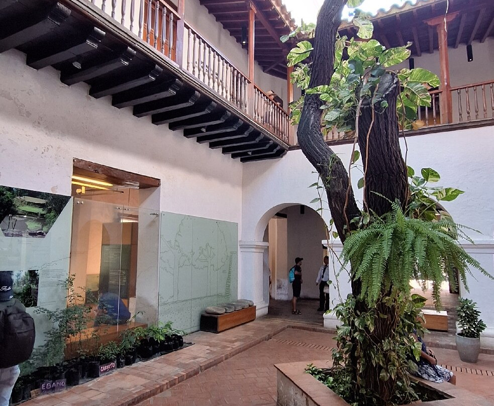 Museo del Oro Tairona - Casa de la Aduana-圣玛尔塔必去景点