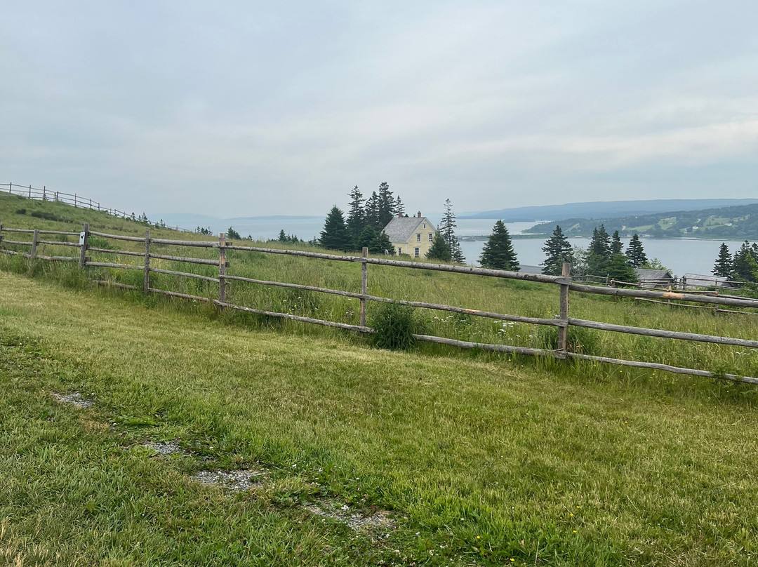 Blackwood Tours-新沃特福德必去景点