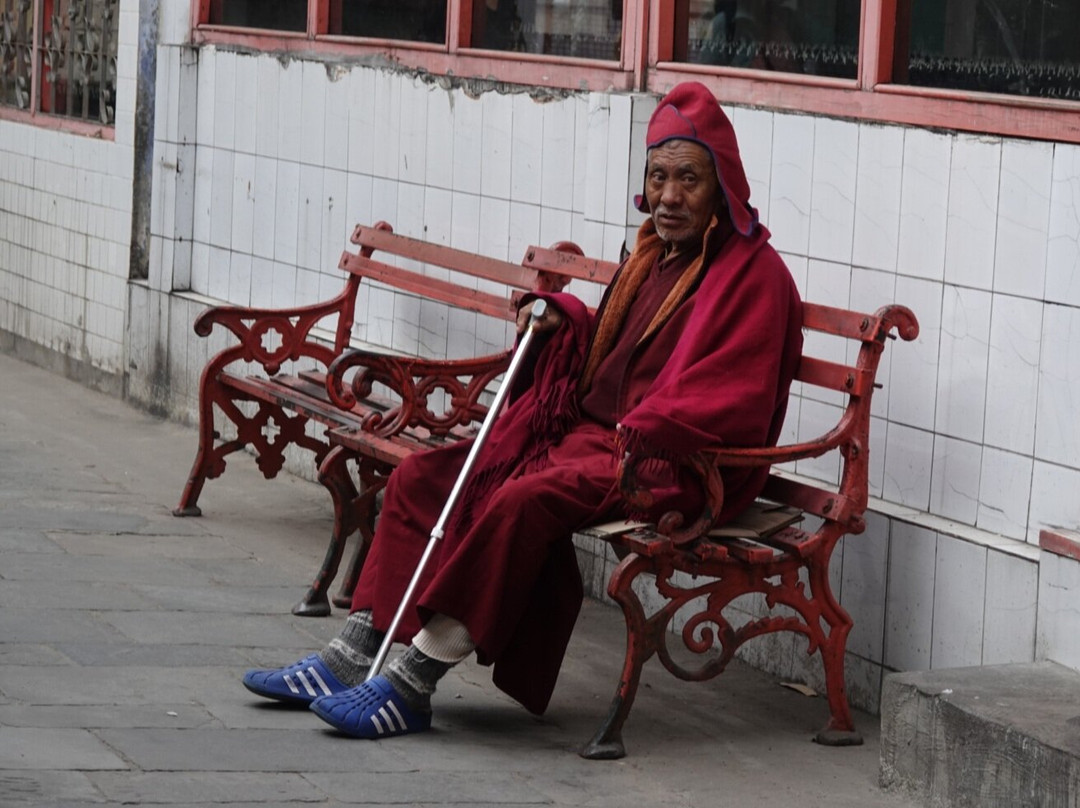 甘托克酒店住宿-Voyage Alpine Abode