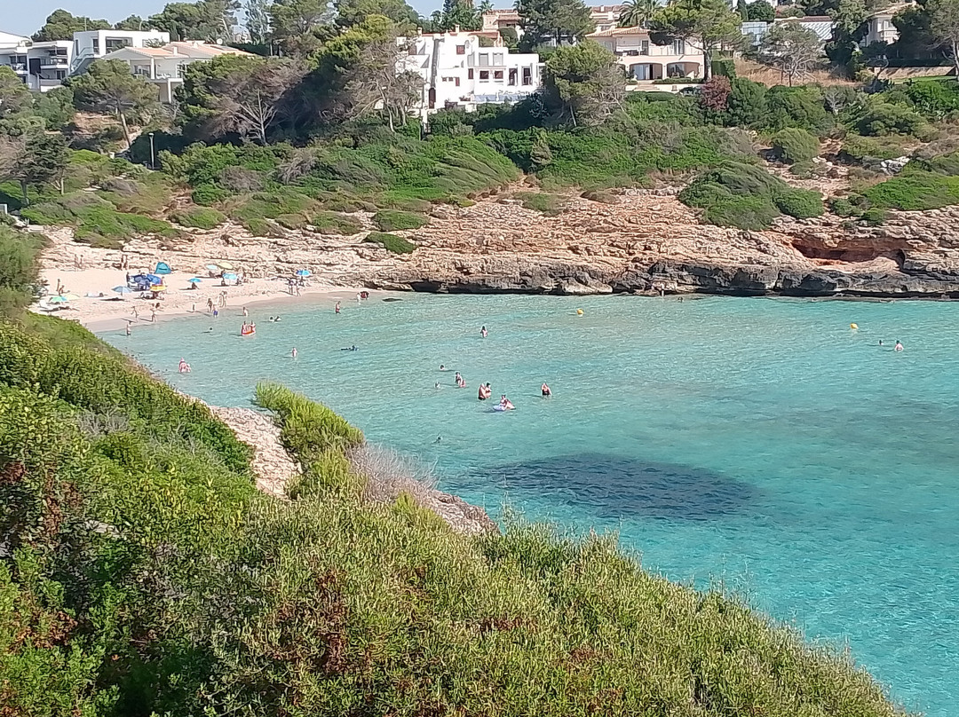 Cala Anguila-马纳科尔必去景点