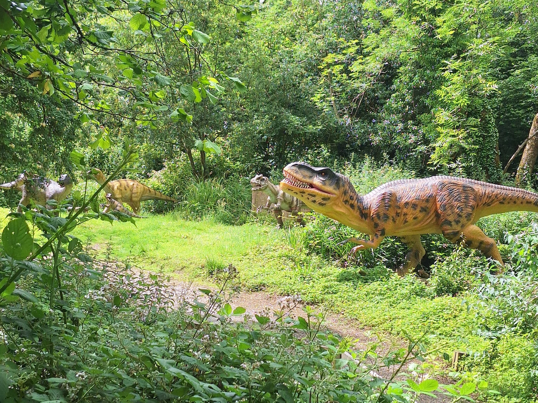 The Dinosaur Park-腾比必去景点