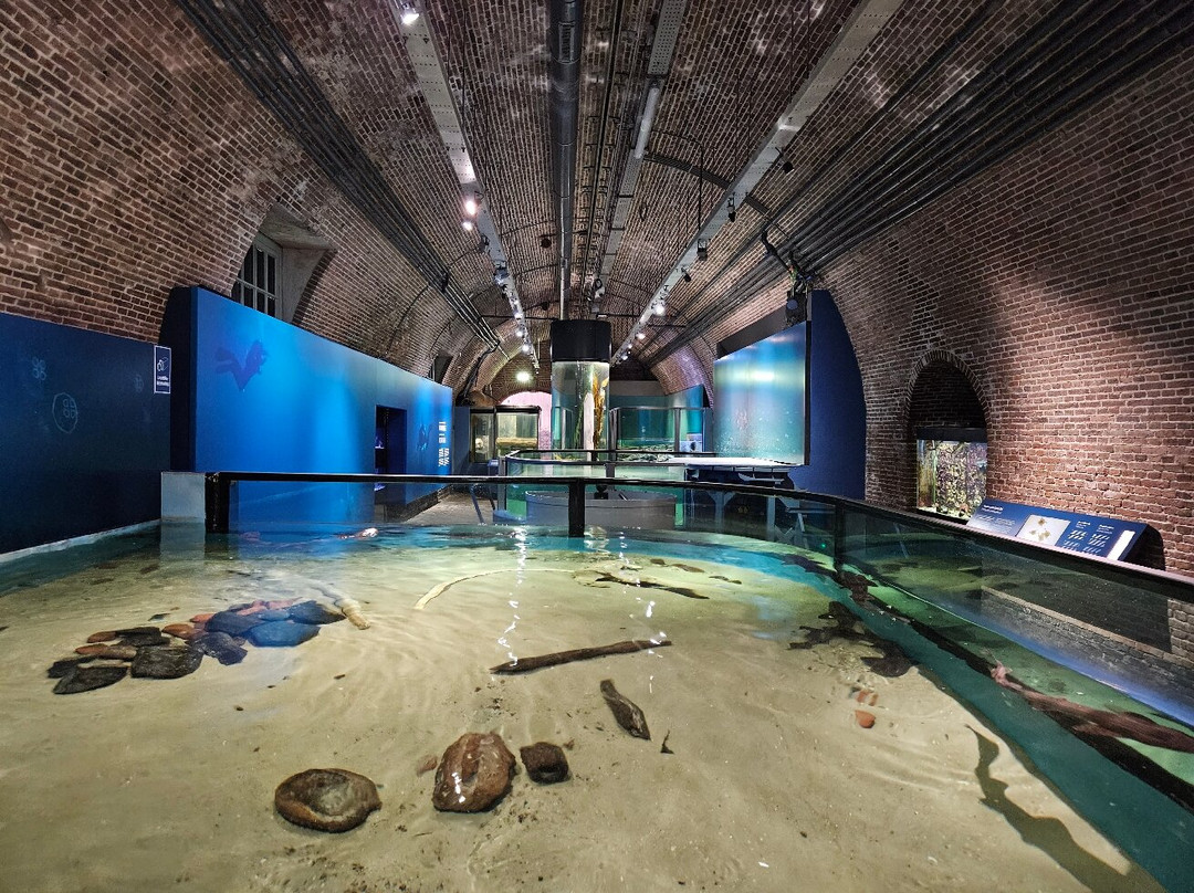 Fort Kijkduin (Museum and Aquarium)-登海尔德必去景点