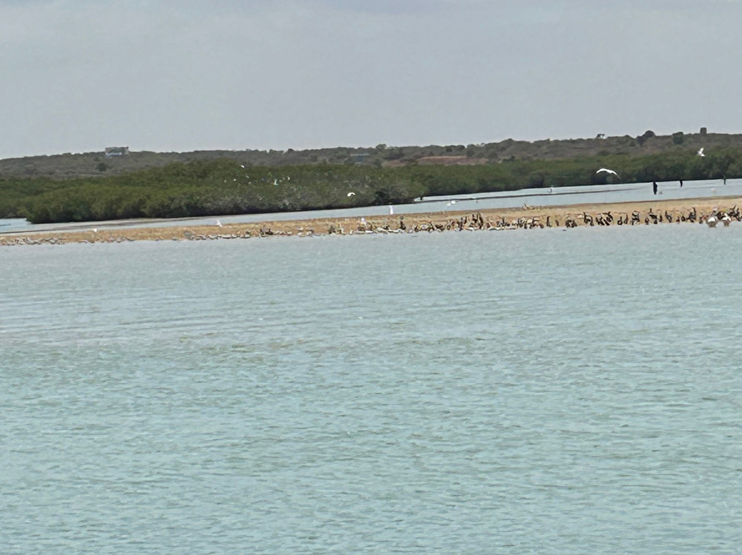 Dakar/Mbour/Sine Saloum, Senegal-莫布瓦必去景点