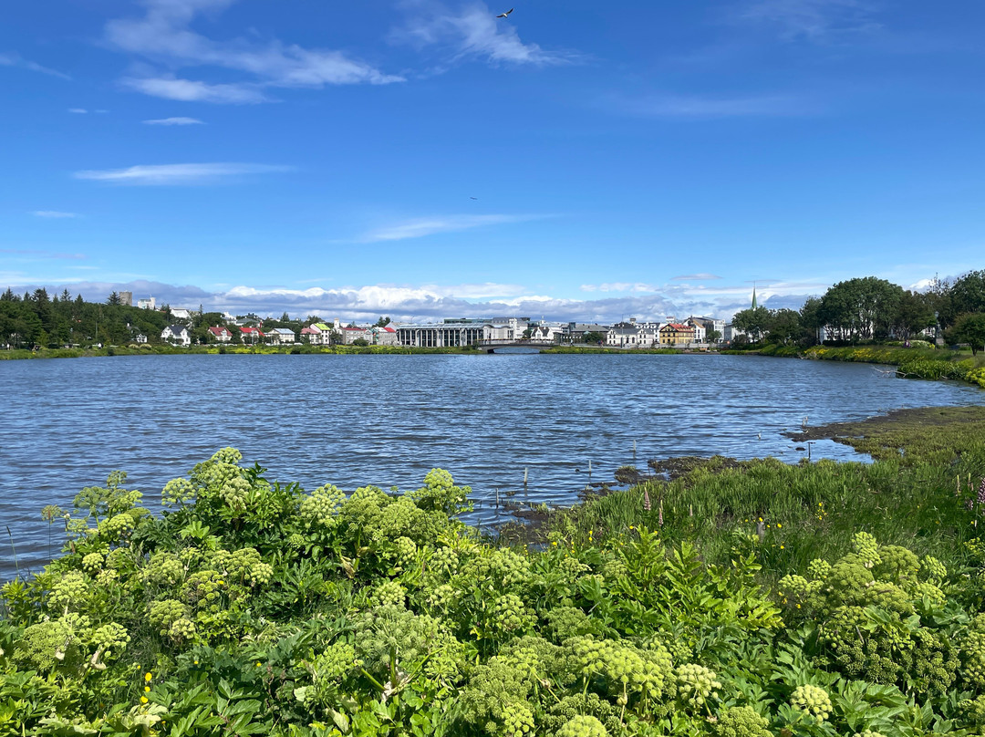 Hljómskálagarður Park-雷克雅未克必去景点