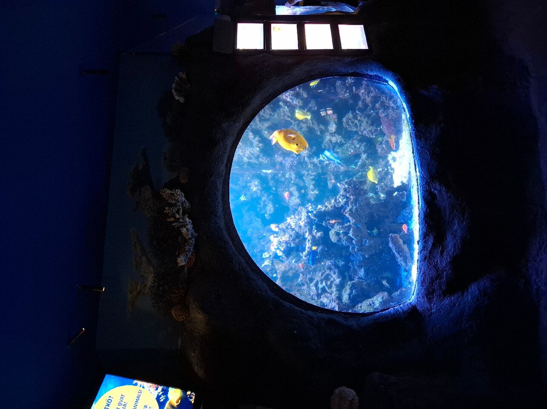 SEA LIFE Helsinki-赫尔辛基必去景点