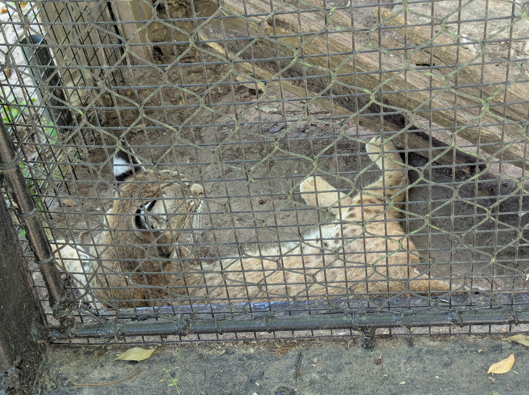 奥德邦动物园-新奥尔良必去景点