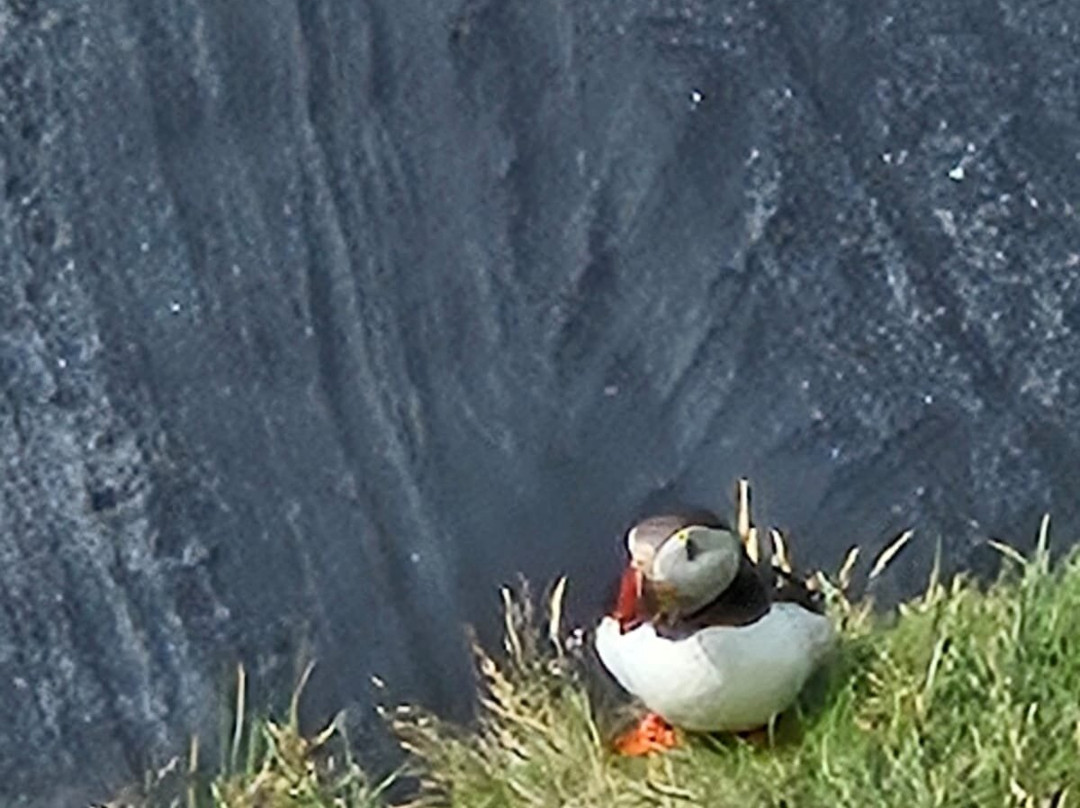 Travel North-胡萨维克必去景点