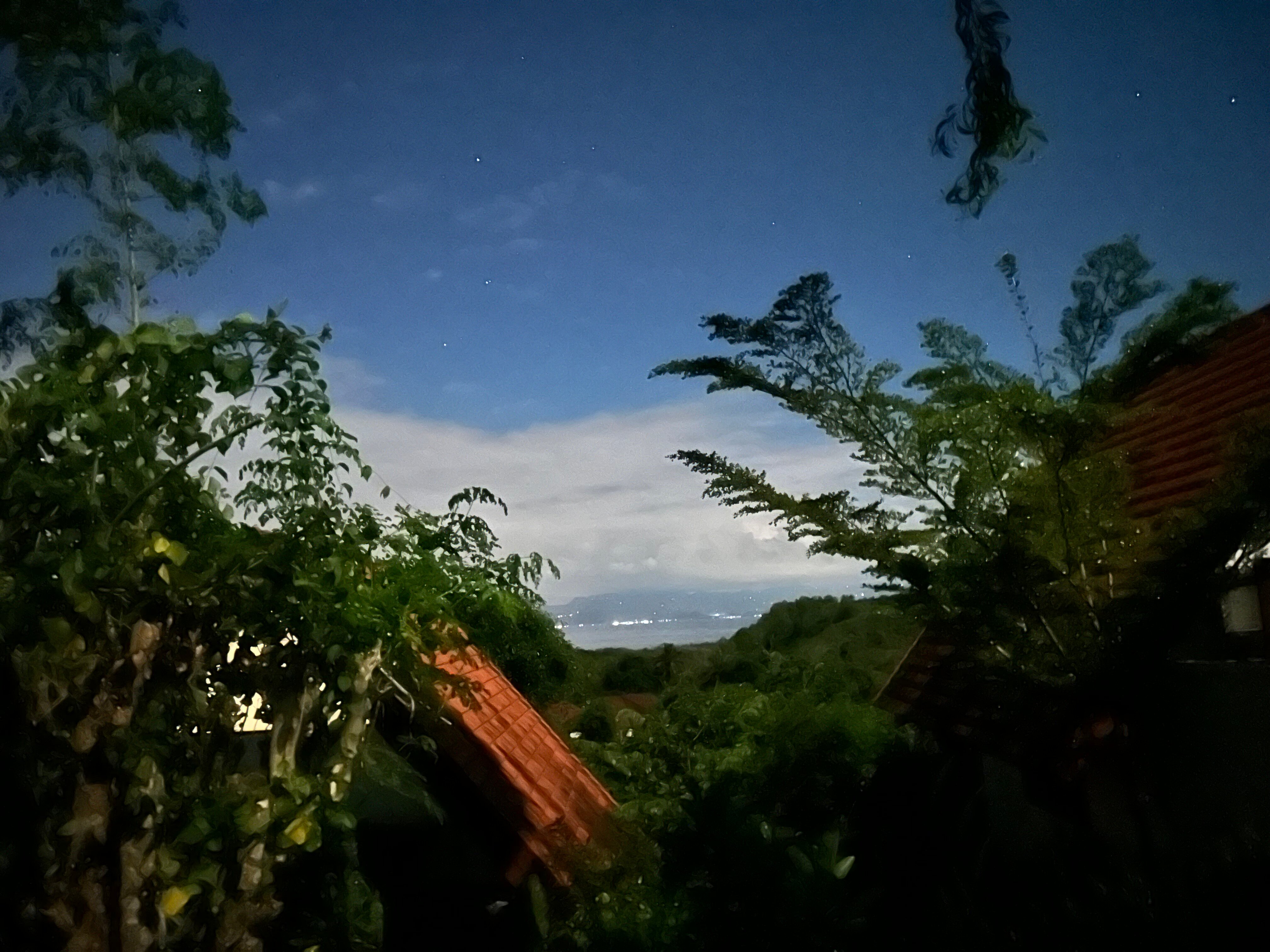 Deep Roots Dive & Yoga Resort-酒店景观