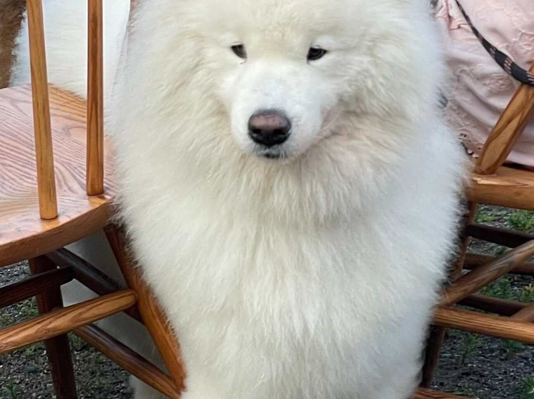 Sena Farm Brewery-Worthington必去景点