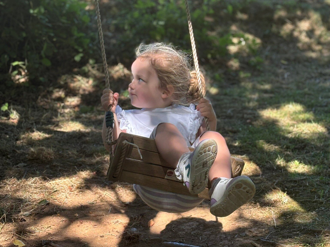 Cornish Lavender-佩伦波思必去景点