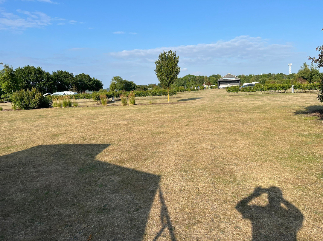 Alton Water Campsite