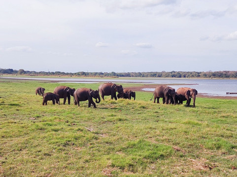 Nalin Jeep Safari-锡吉里亚必去景点
