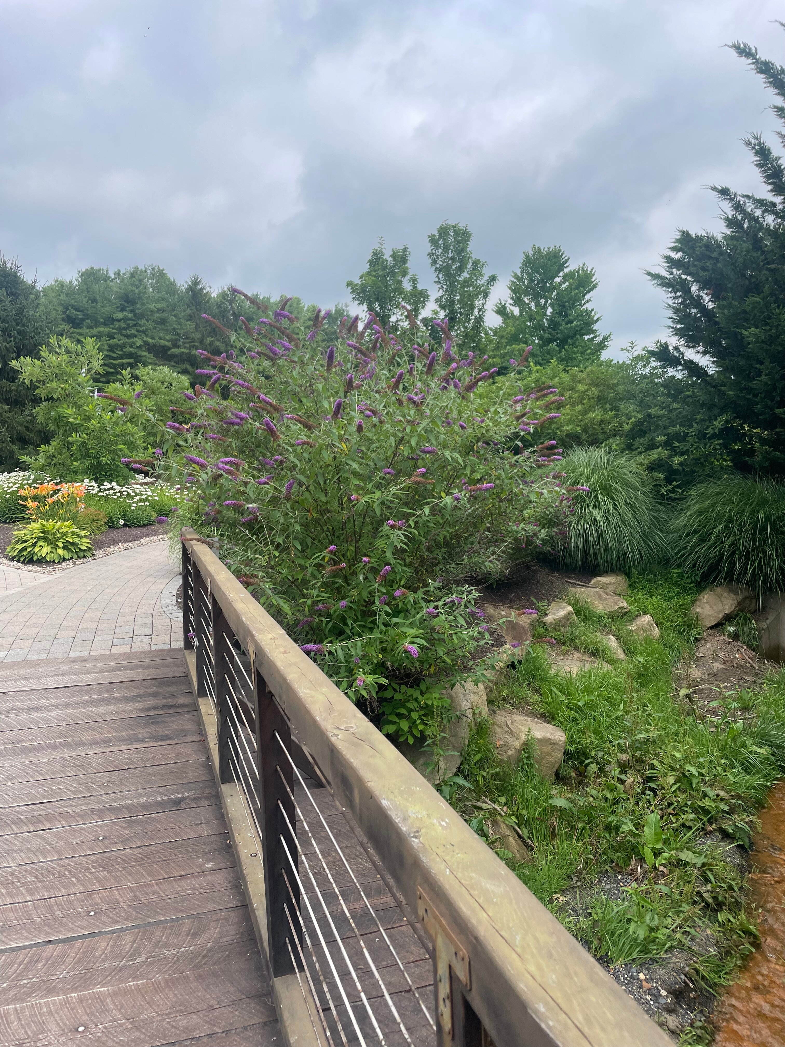 Bear Creek Mountain Resort-官方