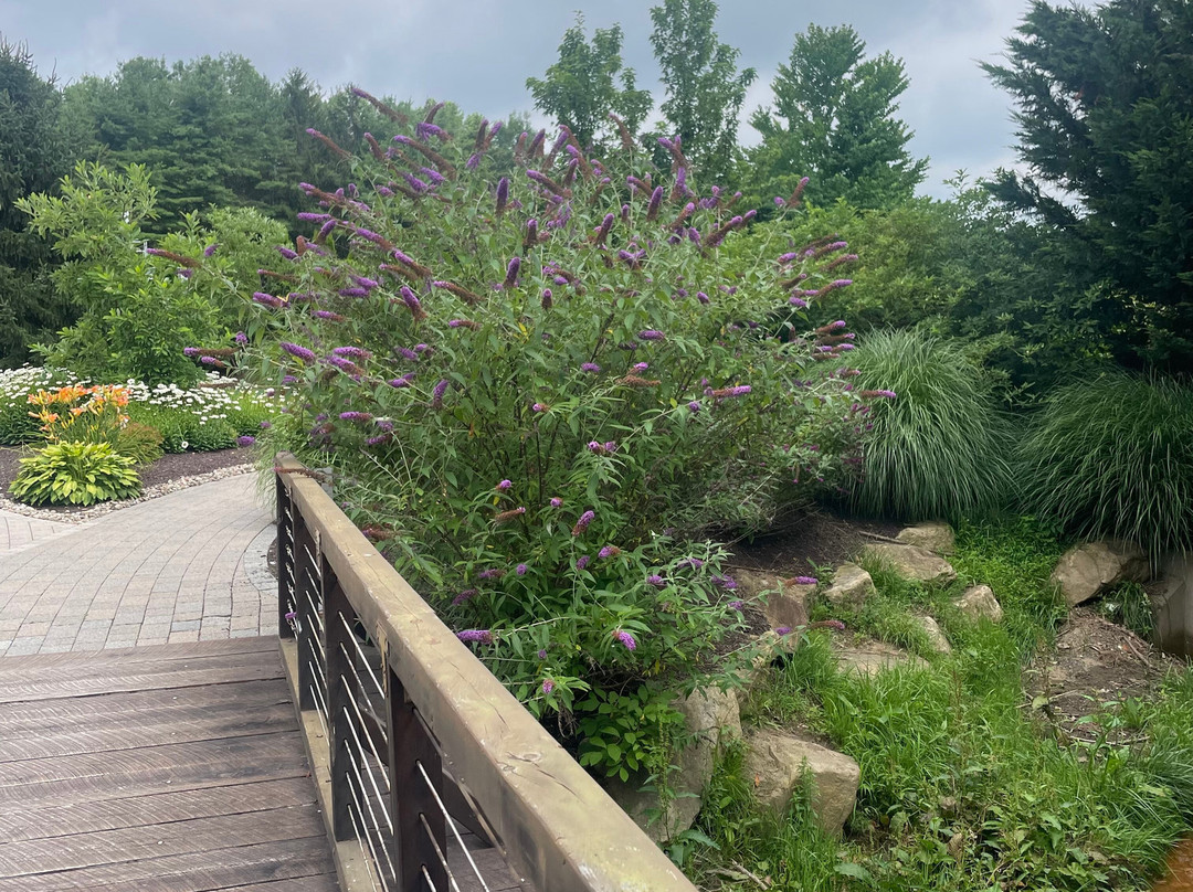 Bear Creek Mountain Resort主图