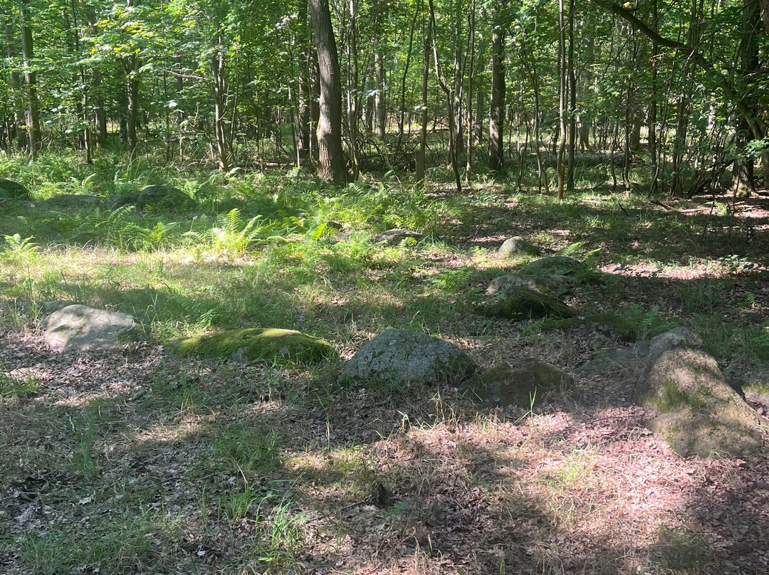 Naturdestination Skovsgaard-Rudkoebing必去景点