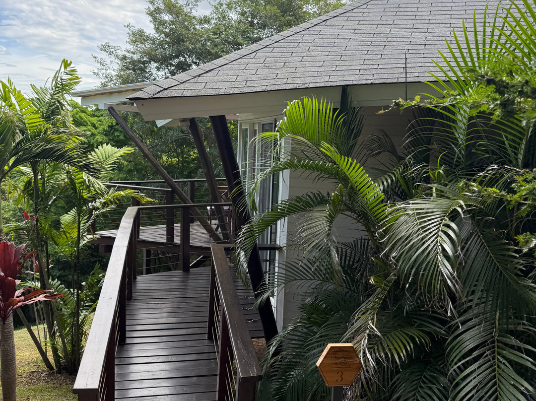 Mikado Natural Lodge主图