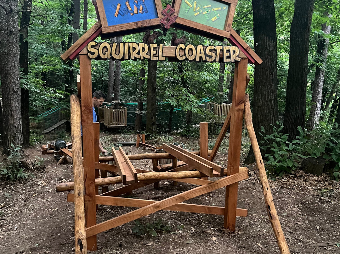 Wonderwood Spina Verde-Colverde必去景点