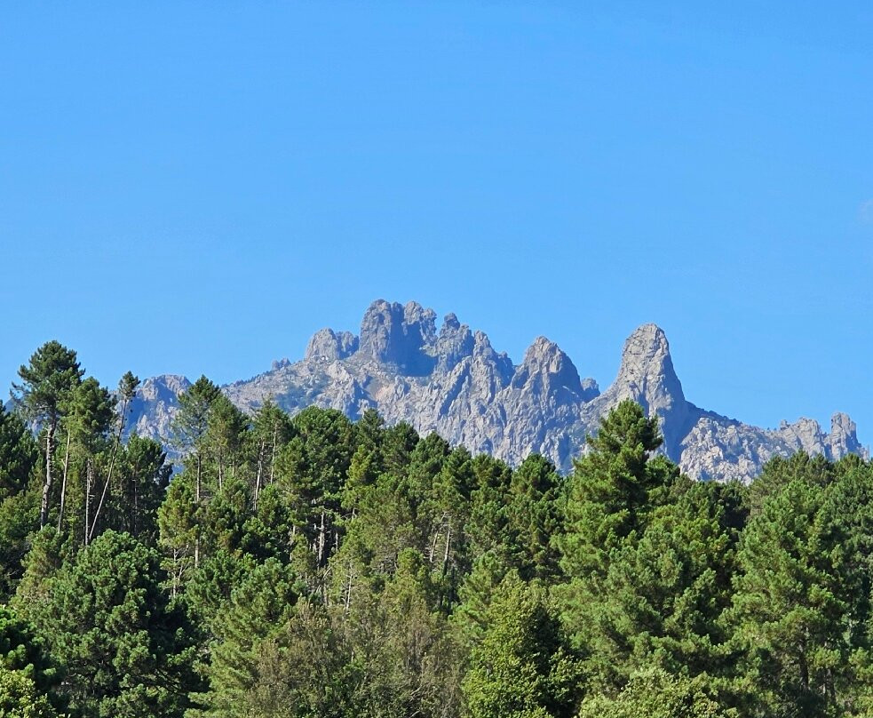 Les Hauts de Cavanello主图