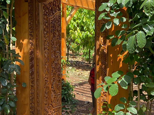 Kamananui Cacao Orchard Tour-瓦胡岛必去景点