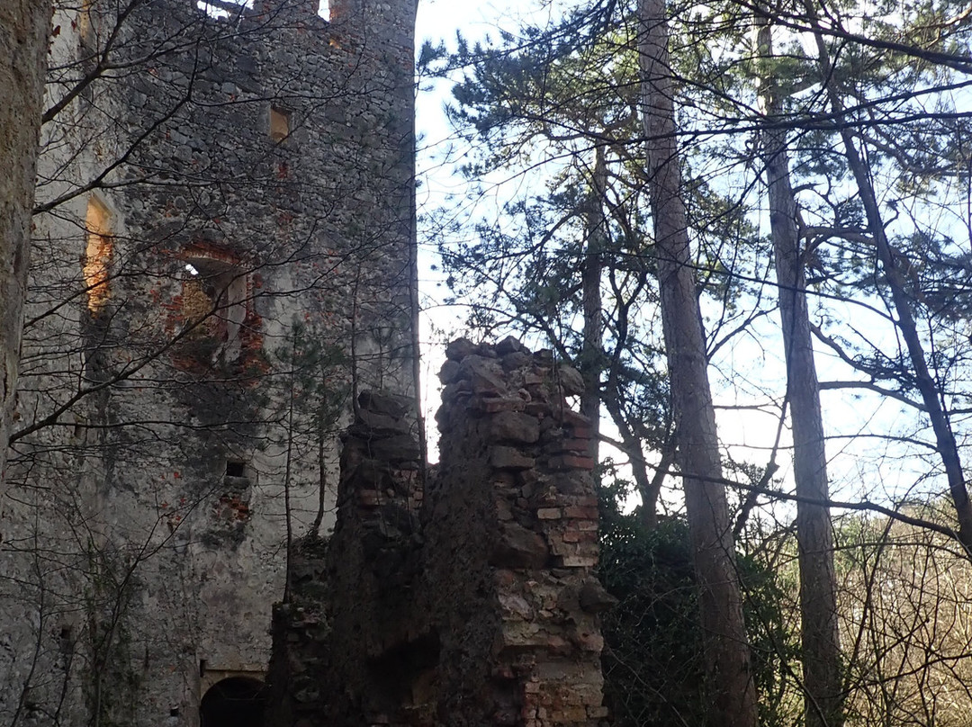 Ruine Merkenstein