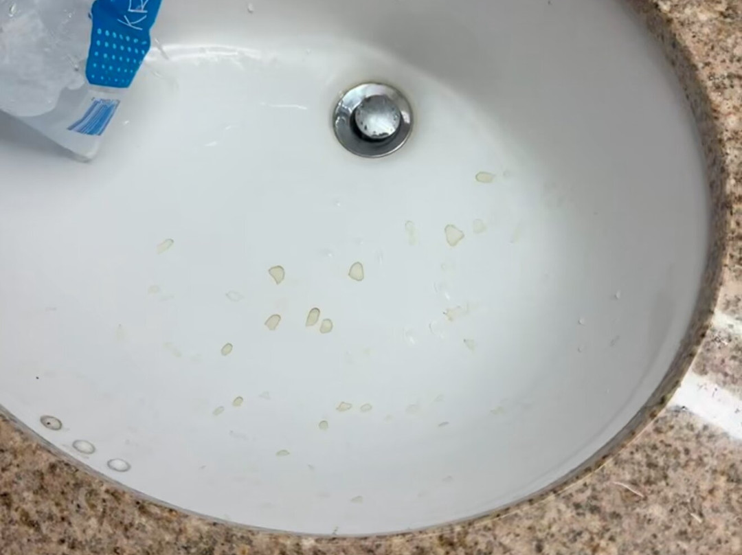 Best Western Windsor Inn主图