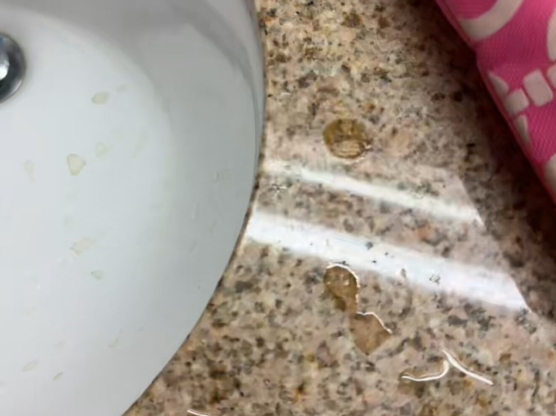 Best Western Windsor Inn主图