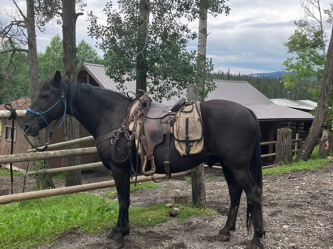 Old Entrance Trail Rides-兴顿必去景点