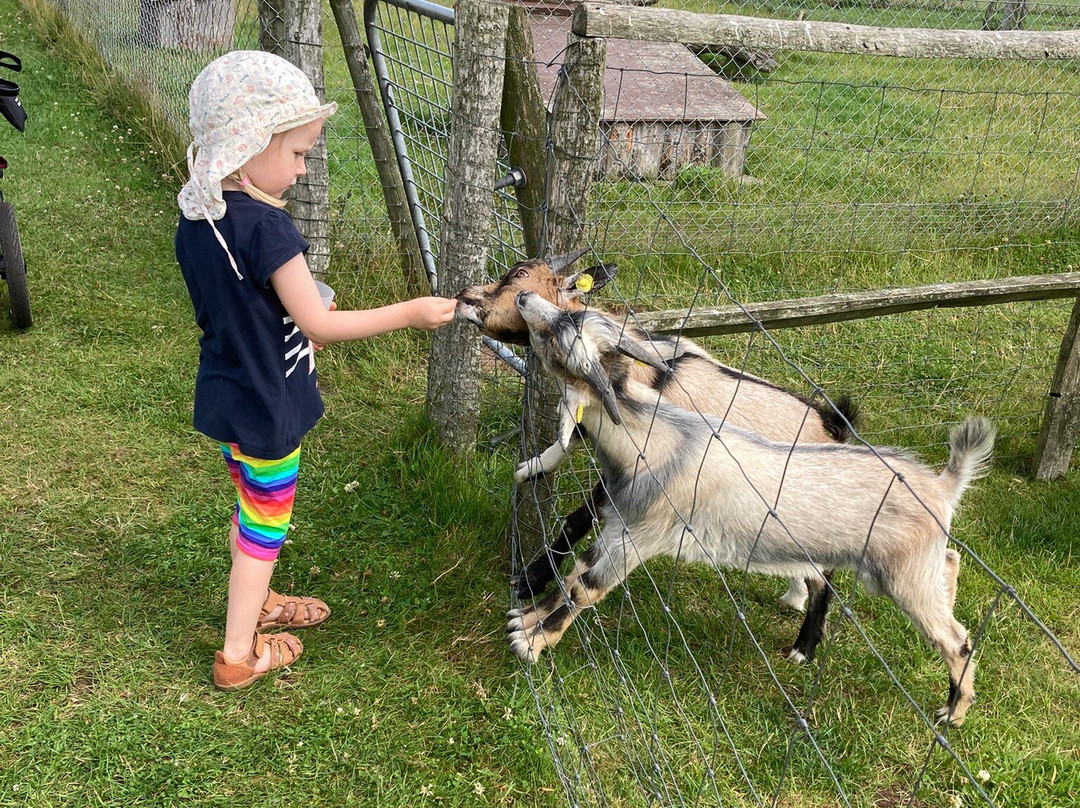 Dyrehaven Engholm-Noerre Nebel必去景点