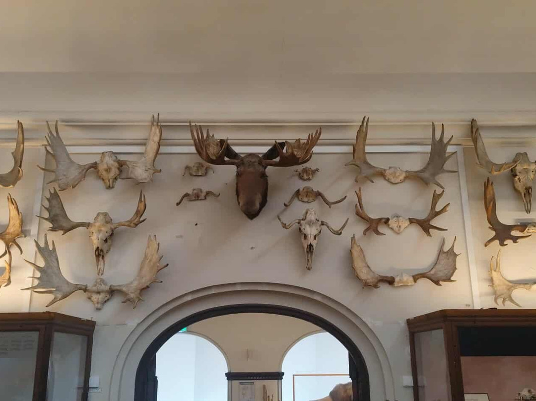 The Natural History Museum-哥德堡必去景点