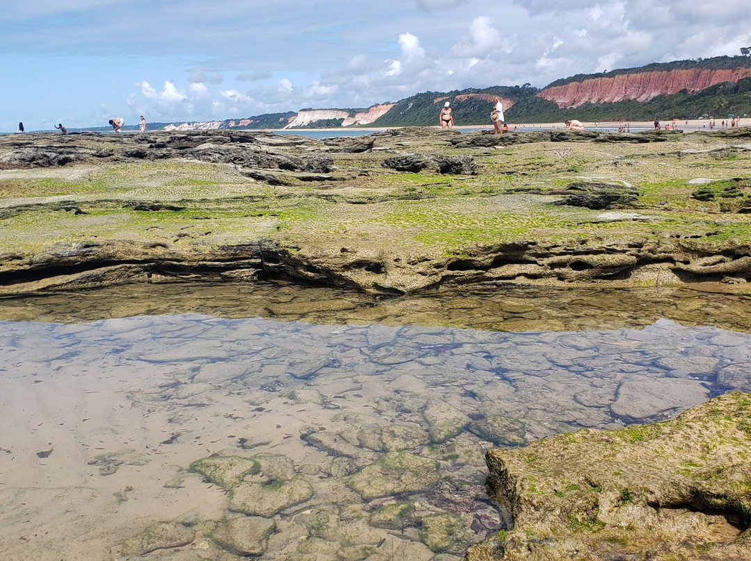 Praia de Pitinga-Arraial d'Ajuda必去景点