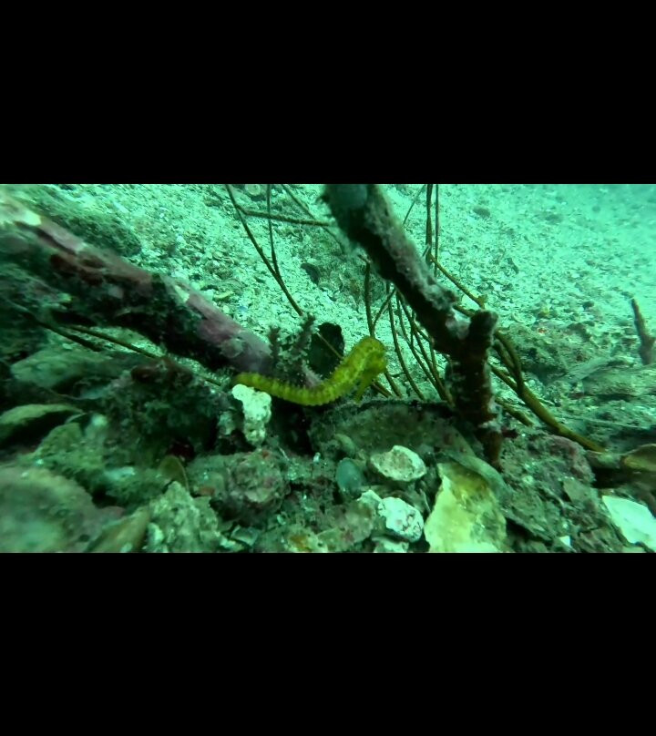 Sunrise Divers-卡伦必去景点