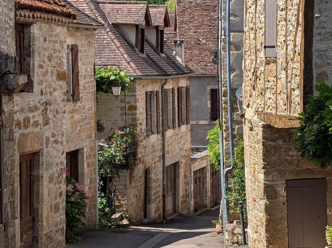 La Maison Ô Kiwis主图