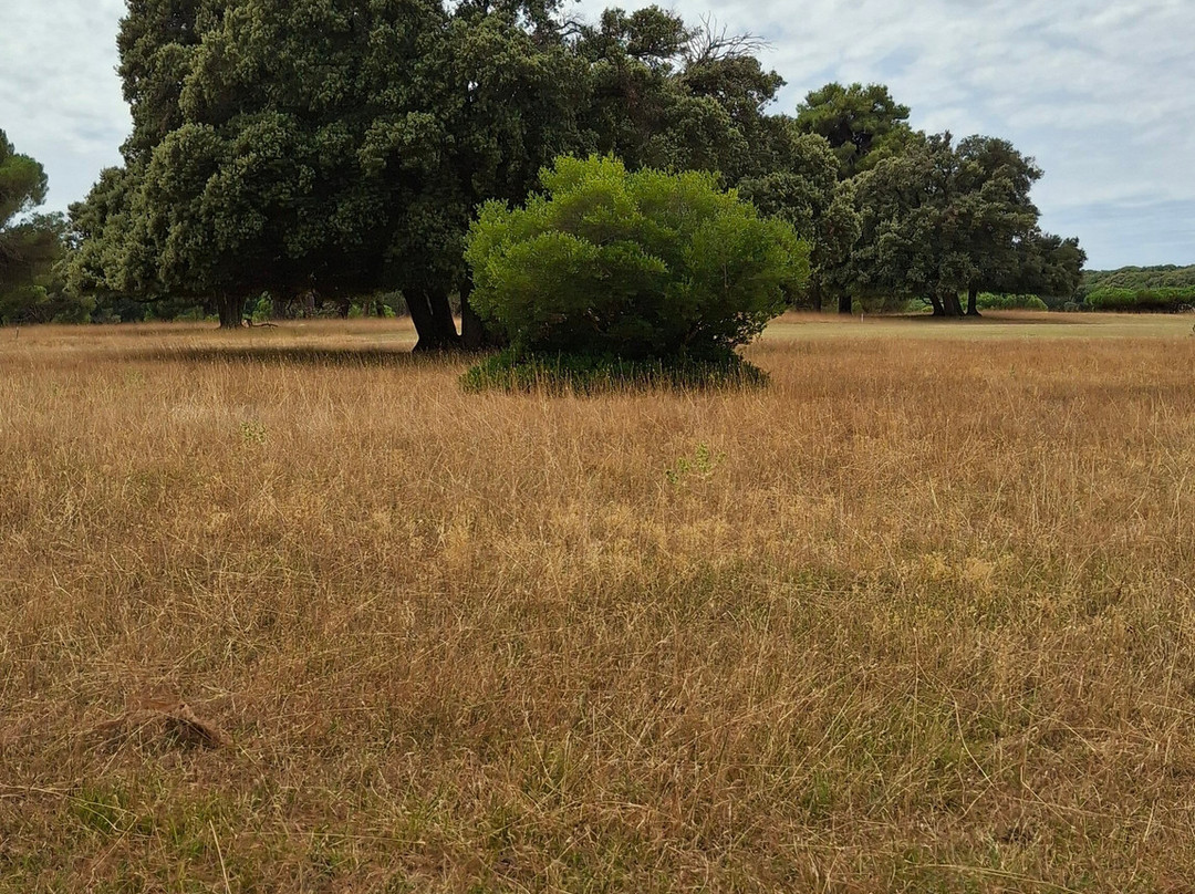 Museum-Brijuni National Park必去景点