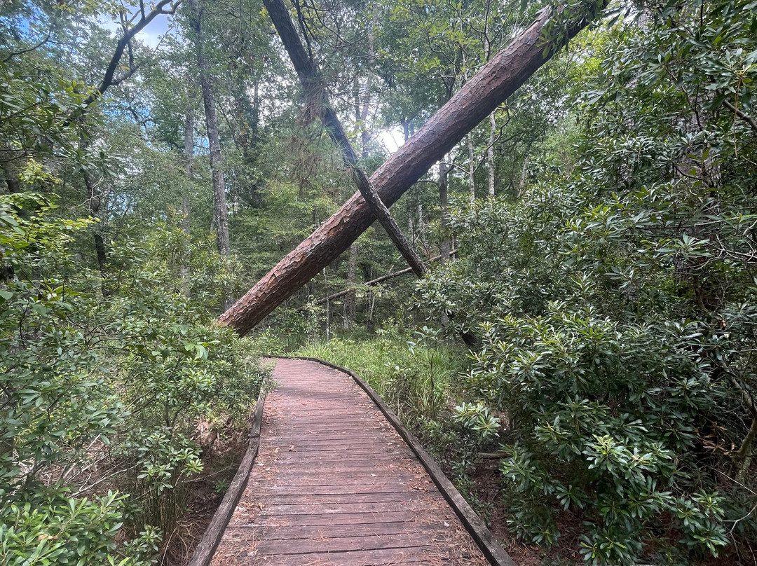 Double Lake Recreation Area-Coldspring必去景点