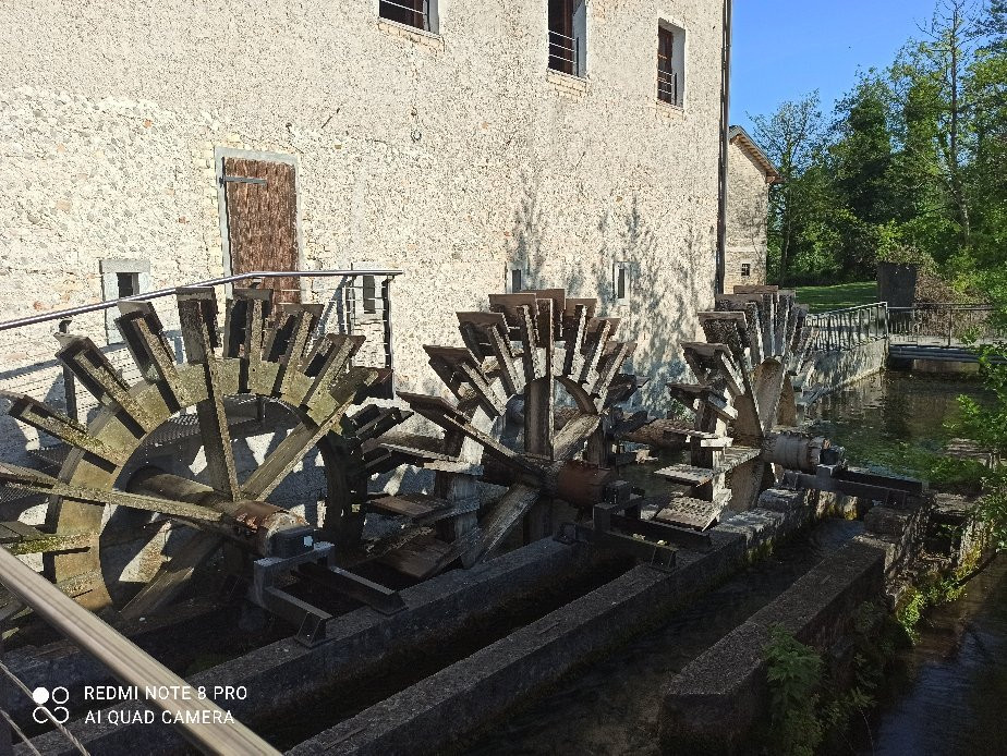 Talmassons旅游景点-Biotopo delle Risorgive di Flambro